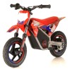 Minimoto electrica 250W Roan Warrior MX-E250 12/12"