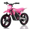 Mini moto Warrior eléctrica 350W Roan MX E350 14/14" Supermotard