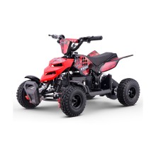 Miniquad electrico 500W Roan Raptor R4