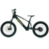 Bicicleta eléctrica Dorado DX20 750W 20"