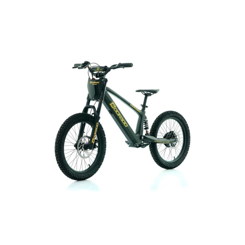 Bicicleta eléctrica Dorado DX20 750W 20"