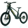 Bicicleta eléctrica Dorado DX20 750W 20"