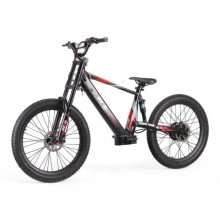 Bicicleta eléctrica REXO RX24 1500W 48V 24/24"