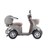 Scooter movilidad reducida Assistant L |1000W 30Km Max Range TECNOLOGIA DEL VALLE