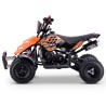 Miniquad ROAN RAPTOR 49cc (R4")