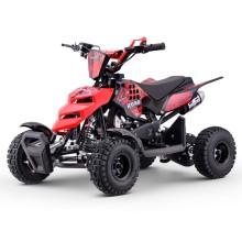 Miniquad ROAN RAPTOR 49cc (R4")