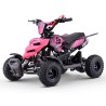 Miniquad ROAN RAPTOR 49cc (R4")