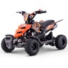 Miniquad ROAN RAPTOR 49cc (R4")
