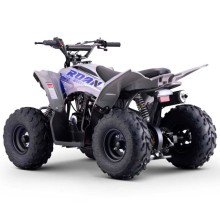 Quad infantil ROAN DAKAR 110cc Automático