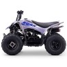 Quad infantil ROAN DAKAR 110cc Automático