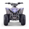 Quad infantil ROAN DAKAR 110cc Automático