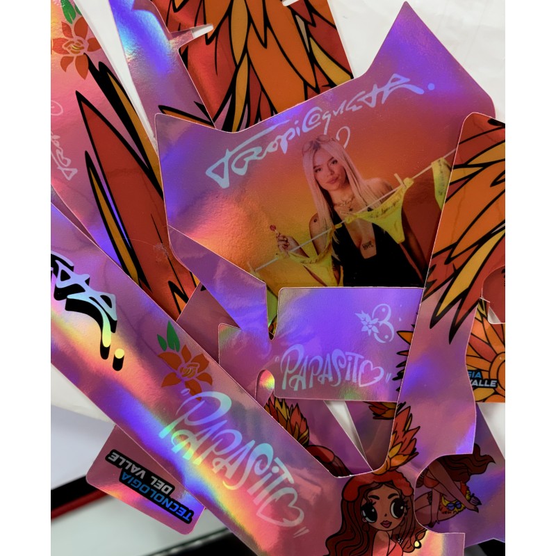 VINILO HOLOGRÁFICO BICICLETA ELECTRICA RFN KAROL G "TROPICOQUETA" TECNOLOGIA DEL VALLE