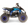 Quad 140cc Semi-automático RFZ Falcon R-123 TECNOLOGIA DEL VALLE