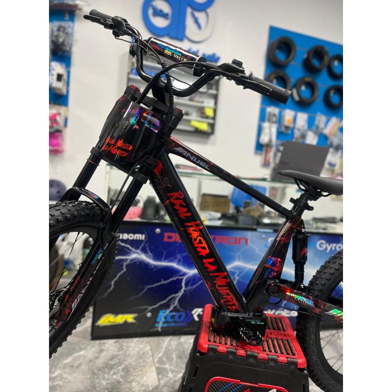 Vinilo Bicicleta eléctrica 24" Rexo - Anuel RHLM