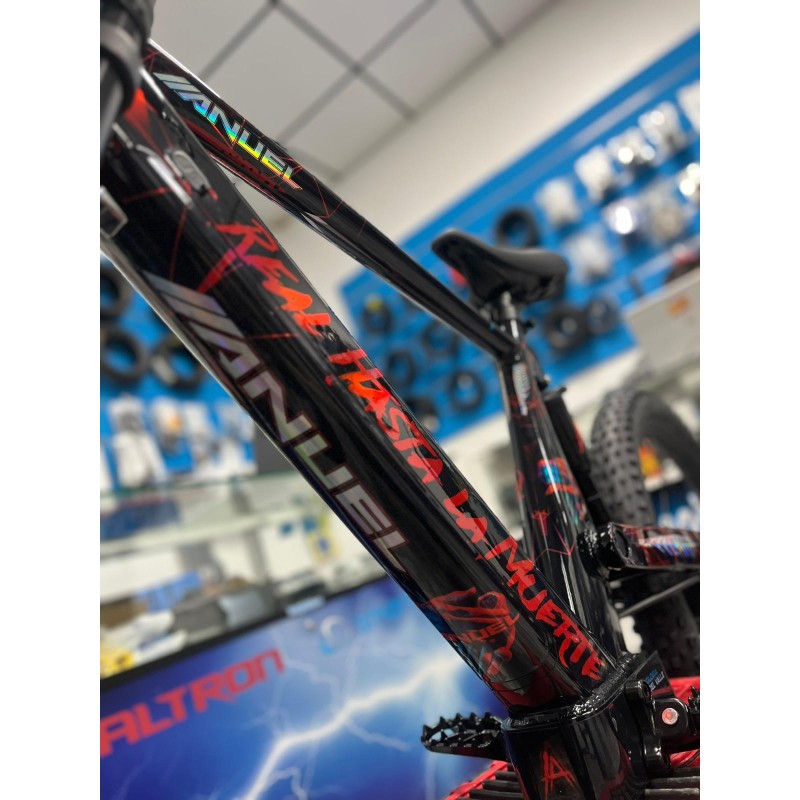 Vinilo Bicicleta eléctrica 24" Rexo - Anuel RHLM