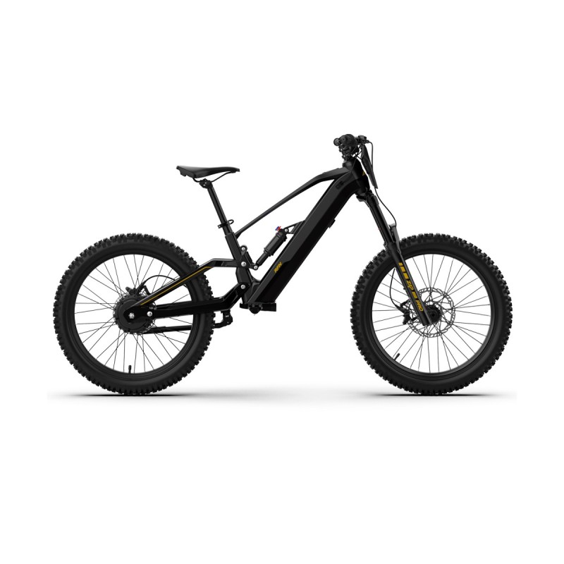 Bicicleta eléctrica sin pedales 1000W 48V RFN EVO PRO 24”