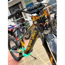 VINILO HOLOGRÁFICO BICICLETA ELECTRICA RFN JC REYES