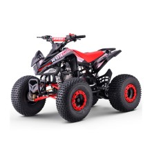 Quad 110cc Automático Roan Pantera R7