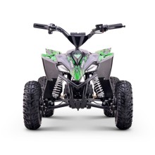 Miniquad eléctrico 1000W 36V Roan RATTE motor brush