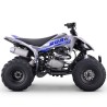 Quad 250cc Roan DAKAR manual R-1-2-3-4 R10 TECNOLOGIA DEL VALLE