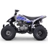 Quad 250cc Roan DAKAR manual R-1-2-3-4 R10 TECNOLOGIA DEL VALLE