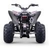 Quad 250cc Roan DAKAR manual R-1-2-3-4 R10 TECNOLOGIA DEL VALLE
