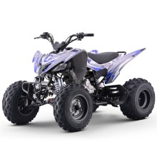 Quad 250cc Roan DAKAR manual R-1-2-3-4 R10