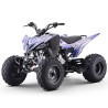 Quad 250cc Roan DAKAR manual R-1-2-3-4 R10