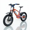Bicicleta electrica sin pedales 500W Roan RFN Evo Racing 18"
