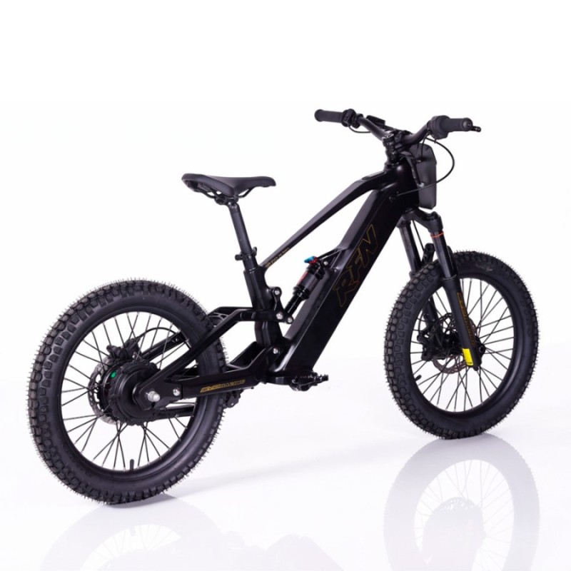 Bicicleta Eléctrica RFN ZIP PRO 20” 1000W 48V