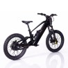 Bicicleta Eléctrica RFN ZIP PRO 20” 1000W 48V