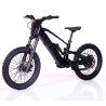 Bicicleta Eléctrica RFN ZIP PRO 20” 1000W 48V