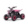 Mini quad gasolina 110cc Roan Ratte R6 R-N-1