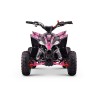 Mini quad gasolina 110cc Roan Ratte R6 R-N-1