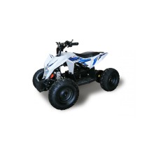 Mini Quad Eléctrico ECO R8
