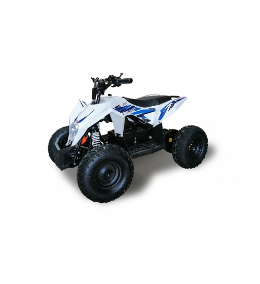 Mini Quad Eléctrico ECO R8